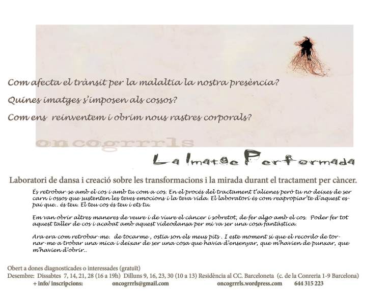 Laboratori: La Imatge Performada